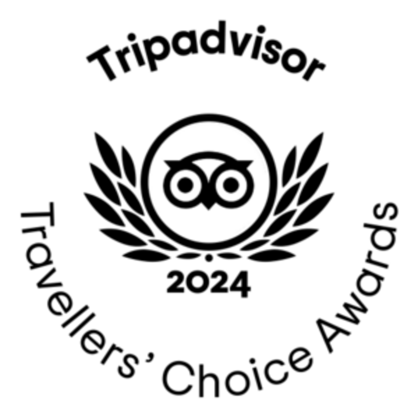 Tripadvisor, Travelors Choice Award